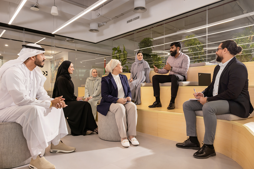 Insights Emirati employment