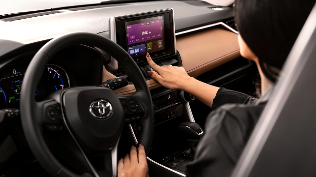 Automotive division subsegment used cars and commercial vehicles